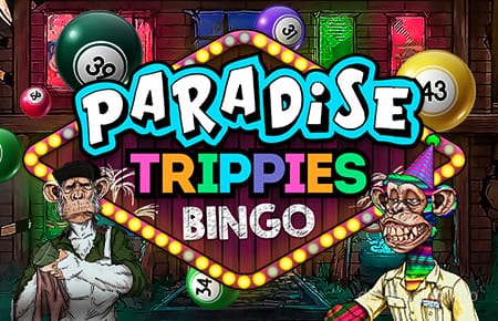 Hình ảnh Paradise Trippies Bingo tại dr88